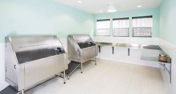 Pet spa